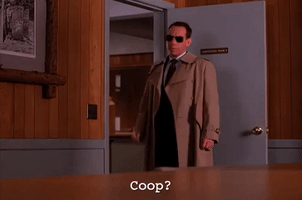 season 2 albert rosenfield GIF by Twin Peaks on Showtime