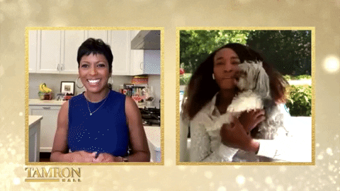 Venus Williams Dog GIF by Tamron_Hall_Show