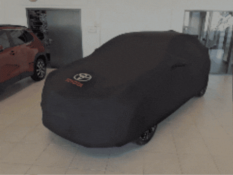 JaapVanSteenbeek giphygifmaker GIF