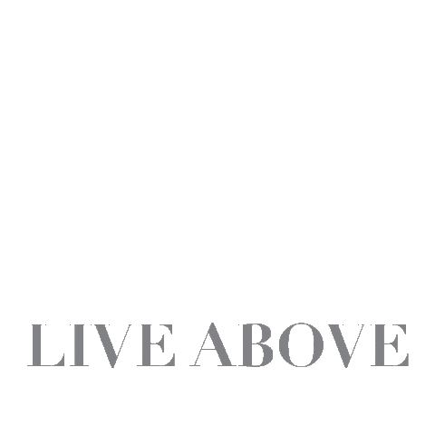 TheReedCharlotte uptowncharlotte uptownclt thereed liveabove Sticker
