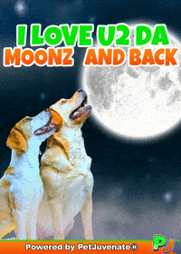 PetJuvenate petjuvenate henlo hooman fren love rescue dogs treatos and woofer for pupper GIF