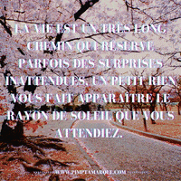 Surprise Vie GIF by PIMP TA MARQUE