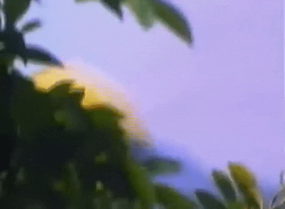 Martial Arts 80S GIF