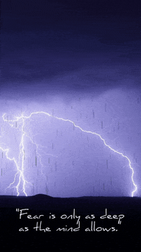 Quote GIF by Positive Programming