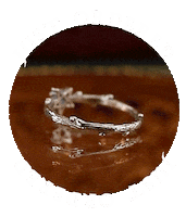 Ring Pentagram Sticker by Shop Dixi