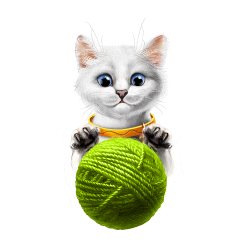 murkagames cat win play spin Sticker