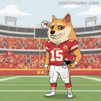 Kansas City Chiefs Football GIF by Doge Pound