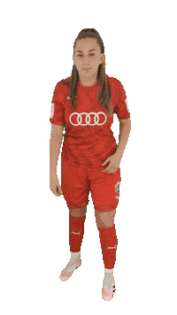 schanzerinnen frauenfussball nichtohnemeinemädels schanzerinnen 2 frauen bundesliga Sticker