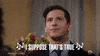 GIF by Brooklyn Nine-Nine