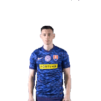 Slovakia Sticker by Fortuna Entertainment Group