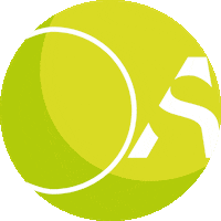 Sport Love Sticker by SkinUp