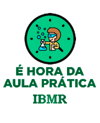 Rio De Janeiro Universidade Sticker by IBMRLaureate