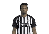 Partizan Sticker by sportmts