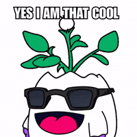 Vibes Deal With It GIF by Magic Eden