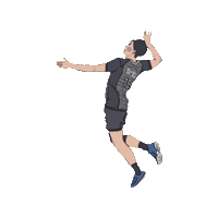 chengchengzz 排球 台電 台電男排 Sticker