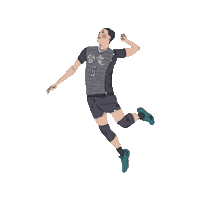 chengchengzz 排球 台電 台電男排 Sticker