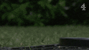 Park Looking GIF by Hollyoaks