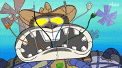 Nickelodeon GIF by SpongeBob SquarePants