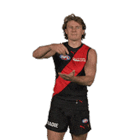 Dons Bombers Sticker by Essendon FC
