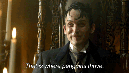 penguin GIF by Gotham