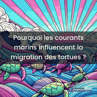 Influence GIF by ExpliquePourquoi.com