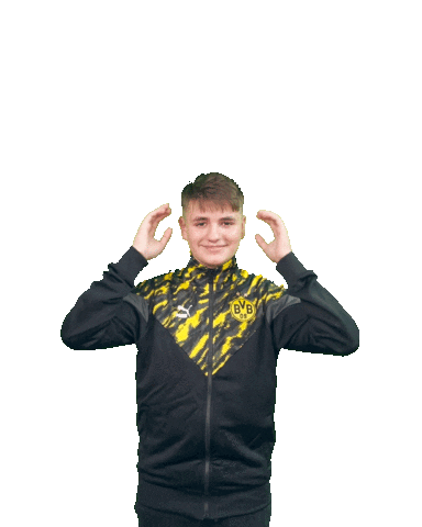 Fifa Efootball Sticker by Borussia Dortmund