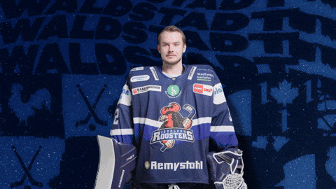 Celebration Hockey GIF by Iserlohn Roosters