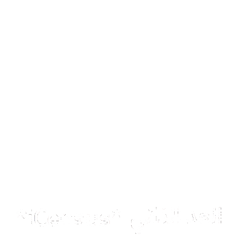 Uae Statistics Sticker by Sharjah Book Authority