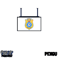 World Cup Football Sticker by Pudgy Penguins