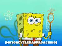 season 4 GIF by SpongeBob SquarePants