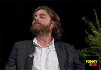 Say What Zach Galifianakis GIF