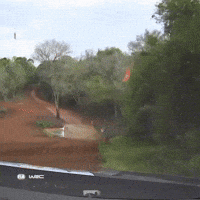 Racing Rallying GIF by FIA World Rally Championship