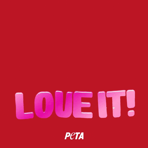 Animal Rights GIF by PETA