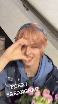 Ahof GIF