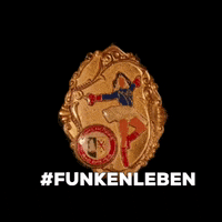 BlauRoteFunken karneval alaaf blaurotefunken badbreisig GIF