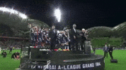 Grand Final Soccer GIF