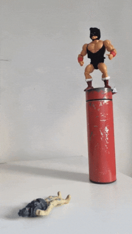 Stop Motion Wwe GIF by dan.bahia.dan