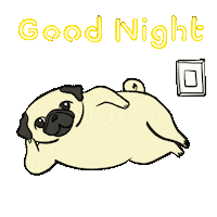 Sleepy Good Night Sticker