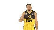 Ewe Baskets Basketball Sticker by EWE Baskets Oldenburg