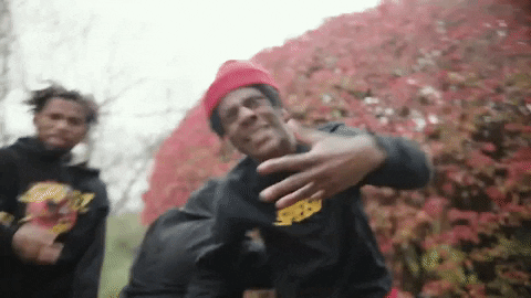RenDoh giphyupload ishowspeed GIF