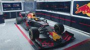 redbullracing car racing race 2019 GIF