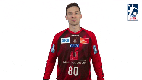 Handball-Bundesliga Hand GIF by DAIKIN HBL