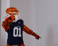 Excited War Eagle GIF by Auburn Tigers