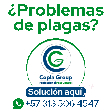 Control De Plagas Sticker by copla group