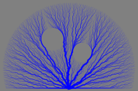 simulation wolfram language GIF by Wolfram Research