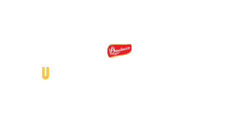 Sandyejunior Promobauducco Sticker by Bauducco Brasil