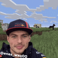 Max Verstappen F1 GIF