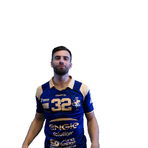 Sport Celebration Sticker by Massy Essonne Handball