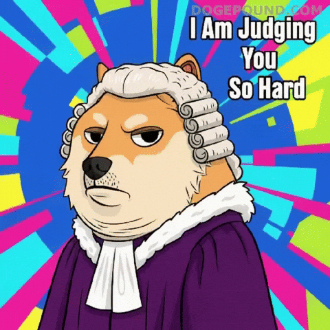 Dog Judging You GIF by Doge Pound