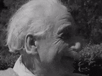 albert einstein GIF